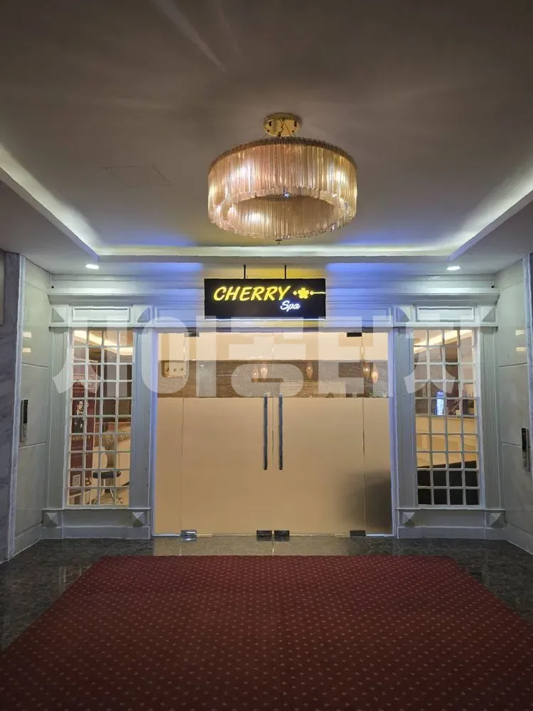 체리 스파 정문 화려한 조명