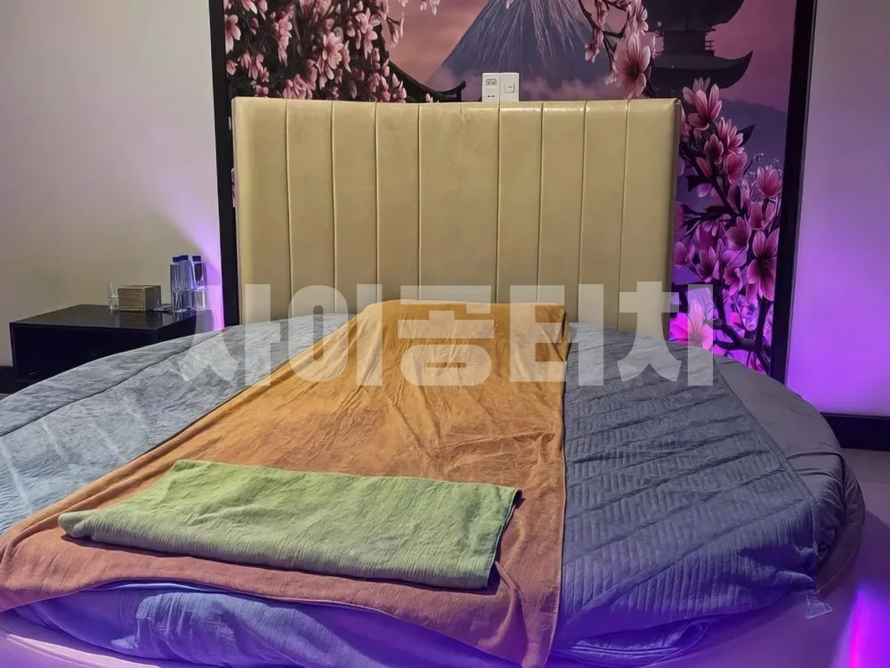 벚꽃 벽화 앞에 놓인 둥근 모양의 침대