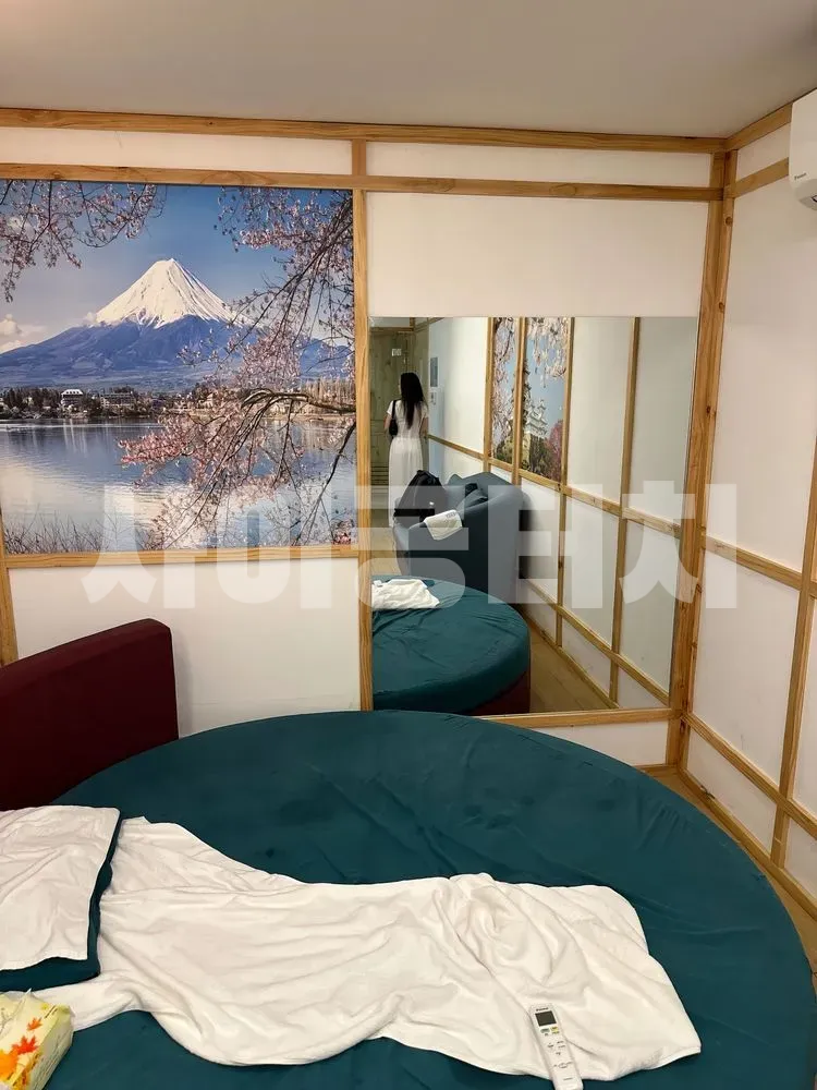 후지산 그림이 있는 스파룸