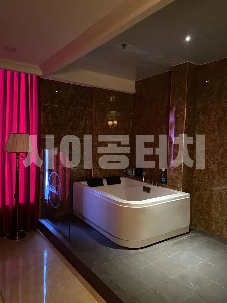 욕조와 스탠드 조명이 있는 욕실